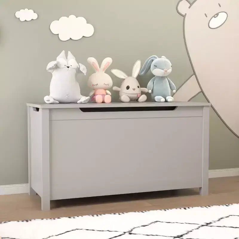 Contenitore porta giocattoli per bambini, Armadietto multiuso con coperchio con cerniera di sicurezza per bambini dai 2 anni in su, Montaggio rapido