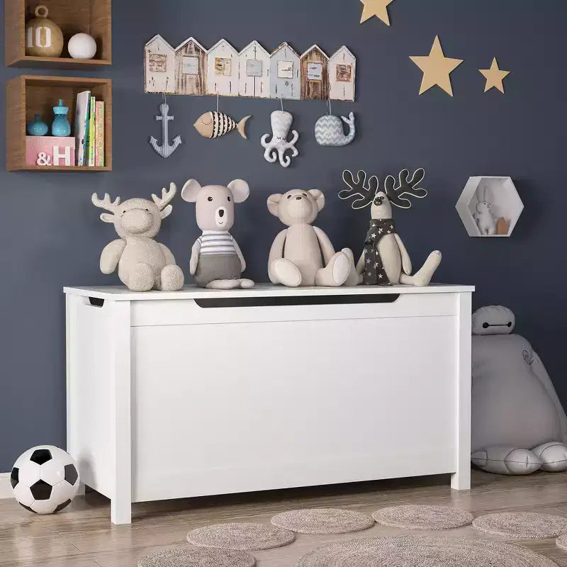 Contenitore porta giocattoli per bambini, Armadietto multiuso con coperchio con cerniera di sicurezza per bambini dai 2 anni in su, Montaggio rapido