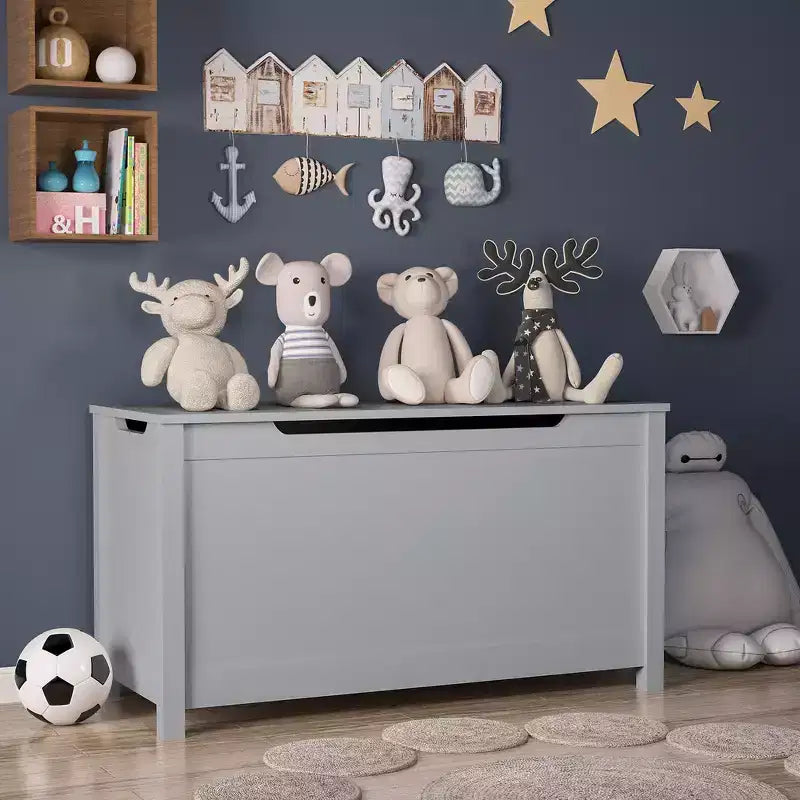 Contenitore porta giocattoli per bambini, Armadietto multiuso con coperchio con cerniera di sicurezza per bambini dai 2 anni in su, Montaggio rapido